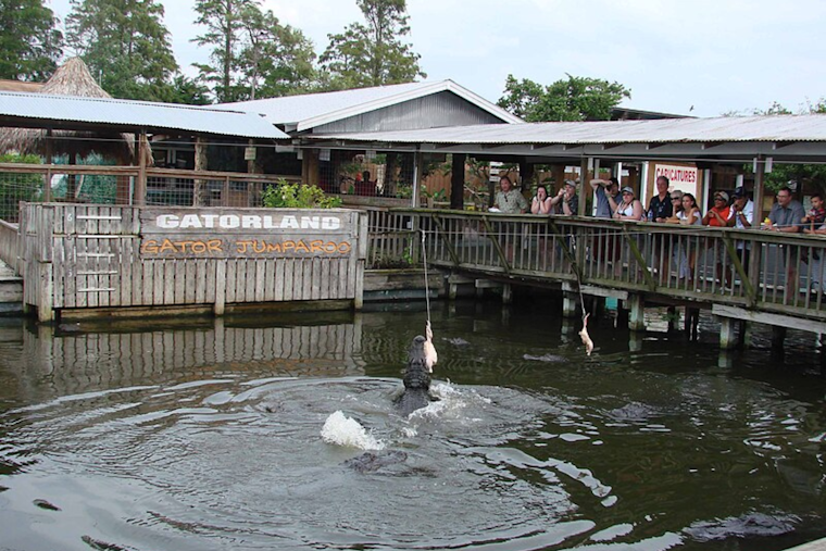 "The Great Pumpkin Toss" Spectacle Returns to Gatorland Orlando for Wholesome Halloween Thrills