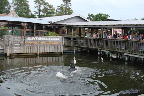 "The Great Pumpkin Toss" Spectacle Returns to Gatorland Orlando for Wholesome Halloween Thrills