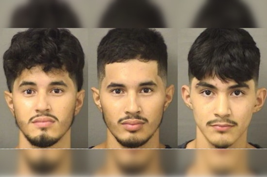 Three Arrested in Palm Beach County on Alleged Capital Sexual Battery of a Child