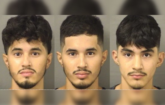 Three Arrested in Palm Beach County on Alleged Capital Sexual Battery of a Child