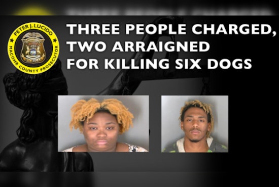 Three Charged with Animal Torture and Killing in Eastpointe, Mich. After Disturbing Discovery