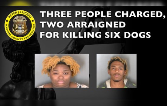 Three Charged with Animal Torture and Killing in Eastpointe, Mich. After Disturbing Discovery