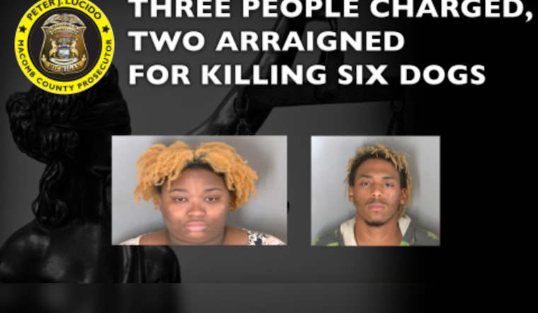 Three Charged with Animal Torture and Killing in Eastpointe, Mich. After Disturbing Discovery