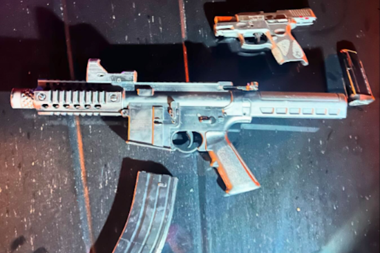 Tiburon Police Apprehend Armed Suspect Accused of Child Endangerment and Weapons Violations