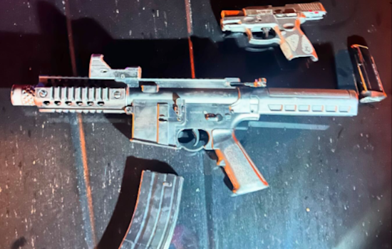 Tiburon Police Apprehend Armed Suspect Accused of Child Endangerment and Weapons Violations