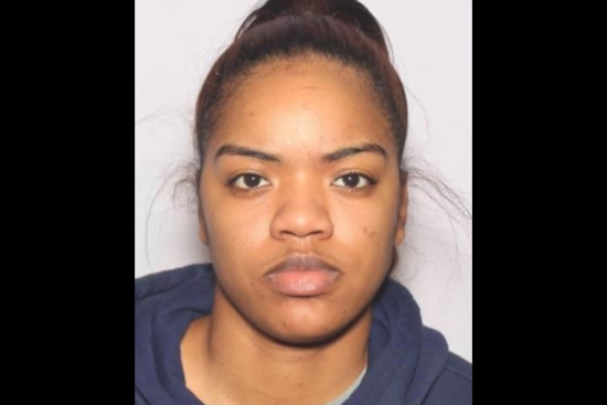 Toledo Woman Sentenced to Over a Year for Fatal Burning of Puppies and Drug Charges