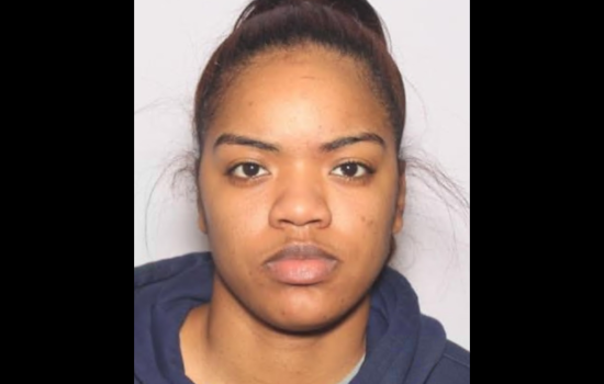 Toledo Woman Sentenced to Over a Year for Fatal Burning of Puppies and Drug Charges
