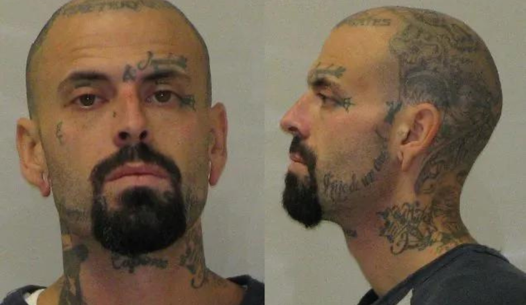 Two Hospitalized After Lee Township Dispute, One Suspect Arrested, Another Sought by Allegan County Deputies