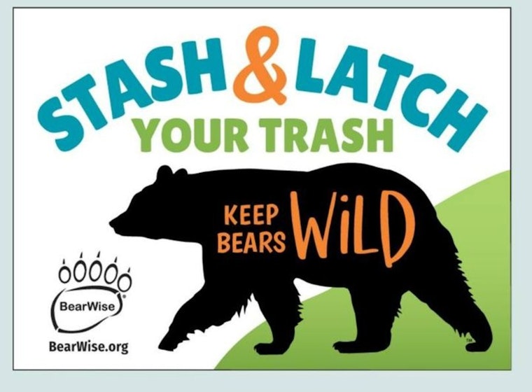 TWRA Allocates $250,000 in Grants for Bear-Resistant Trash Solutions in Tennessee