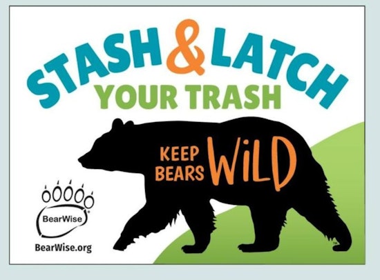 TWRA Allocates $250,000 in Grants for Bear-Resistant Trash Solutions in Tennessee