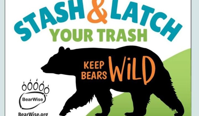 TWRA Allocates $250,000 in Grants for Bear-Resistant Trash Solutions in Tennessee