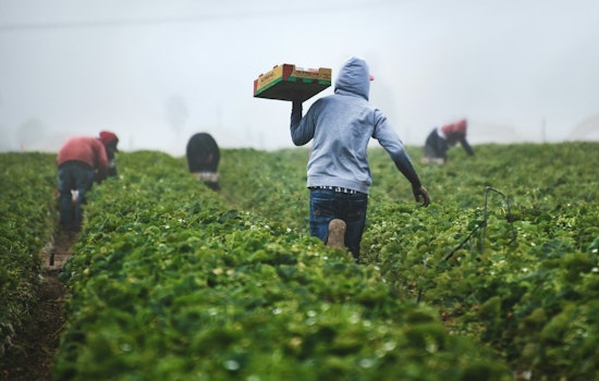University of Minnesota Extension's Farmer-to-Farmer Tour Set to Educate Aspiring Entrepreneurs in Wright County