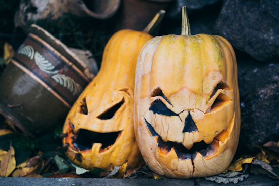 Upper Arlington Launches Pumpkin Composting Initiative at Fancyburg Park for Sustainable Seasonal Decor Disposal