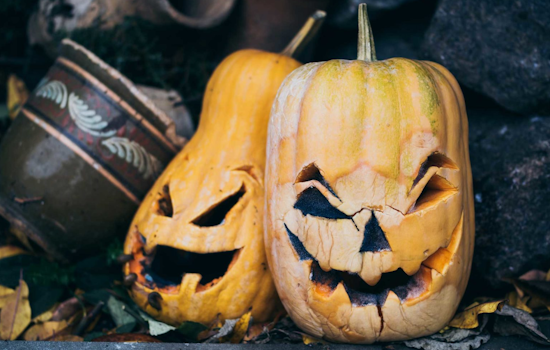 Upper Arlington Launches Pumpkin Composting Initiative at Fancyburg Park for Sustainable Seasonal Decor Disposal
