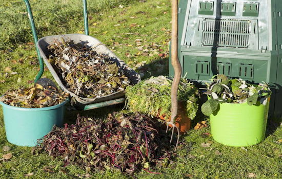 Upper Arlington Rolls Out Annual Leaf Collection Program, Advocates for Ecological Stewardship