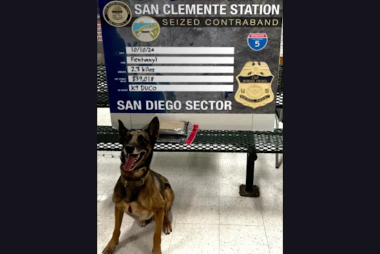 U.S. Border Patrol in San Diego Thwarts Drug Smuggling Attempts on Interstate 5