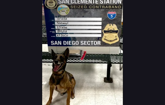 U.S. Border Patrol in San Diego Thwarts Drug Smuggling Attempts on Interstate 5