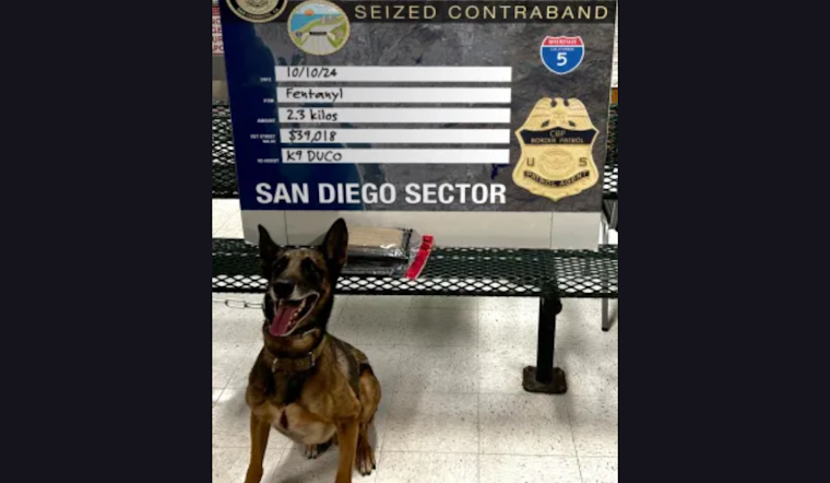 U.S. Border Patrol in San Diego Thwarts Drug Smuggling Attempts on Interstate 5