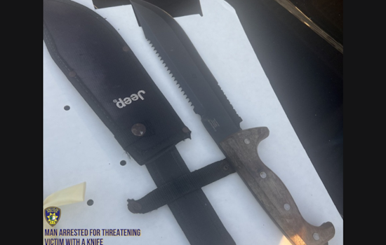 Vallejo Man Arrested for Allegedly Threatening Another with Knife over Financial Dispute