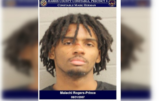 Vehicle Break-In Leads to High-Speed Chase, Suspect Apprehended in Harris County