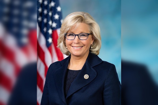 Vice President Kamala Harris Partners with Liz Cheney to Court Moderate Republicans in Royal Oak Event