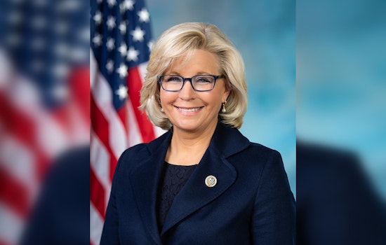 Vice President Kamala Harris Partners with Liz Cheney to Court Moderate Republicans in Royal Oak Event