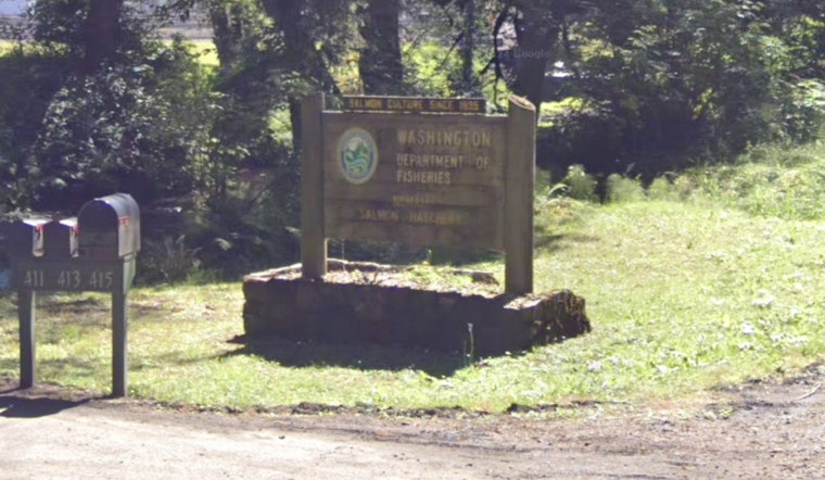 Washington Commission Debates Wildlife Policies, Engages Public in Spokane Meetings