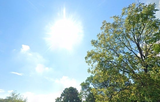 Washington D.C. Embraces Fall With Sunny Skies and Mild Temperatures Ahead