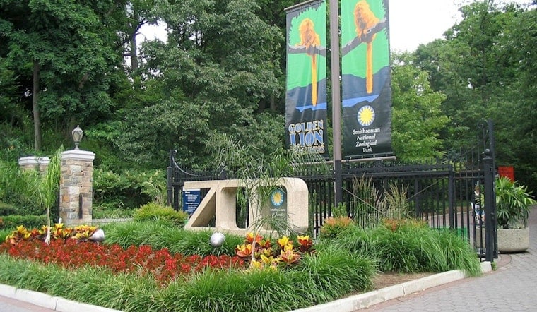Washington D.C.'s National Zoo Welcomes Chinese Giant Pandas Bao Li and Qing Bao