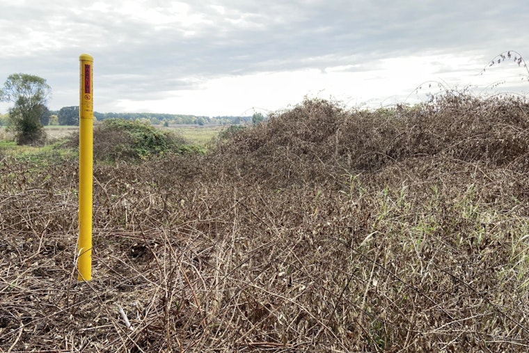 Washington Department of Fish and Wildlife Launches Prescribed Burns to Enhance Cowlitz Wildlife Area