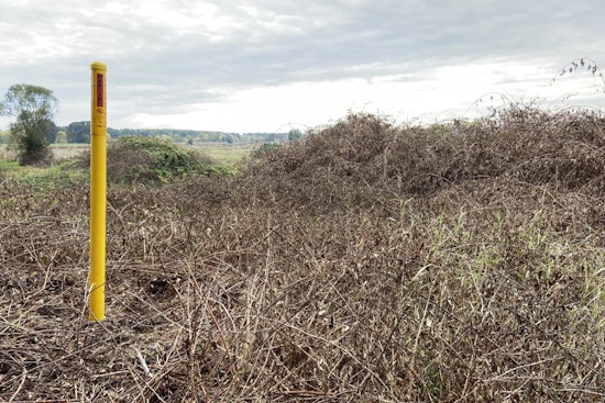 Washington Department of Fish and Wildlife Launches Prescribed Burns to Enhance Cowlitz Wildlife Area