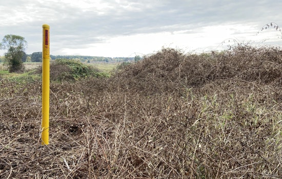 Washington Department of Fish and Wildlife Launches Prescribed Burns to Enhance Cowlitz Wildlife Area