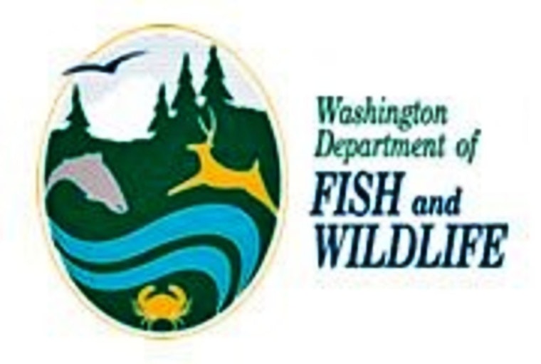 WDFW Employee and Captain Safe After Gillnet Boat Incident in Willapa Bay