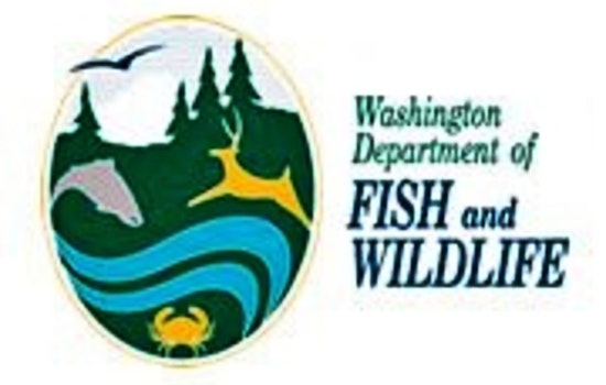 WDFW Employee and Captain Safe After Gillnet Boat Incident in Willapa Bay