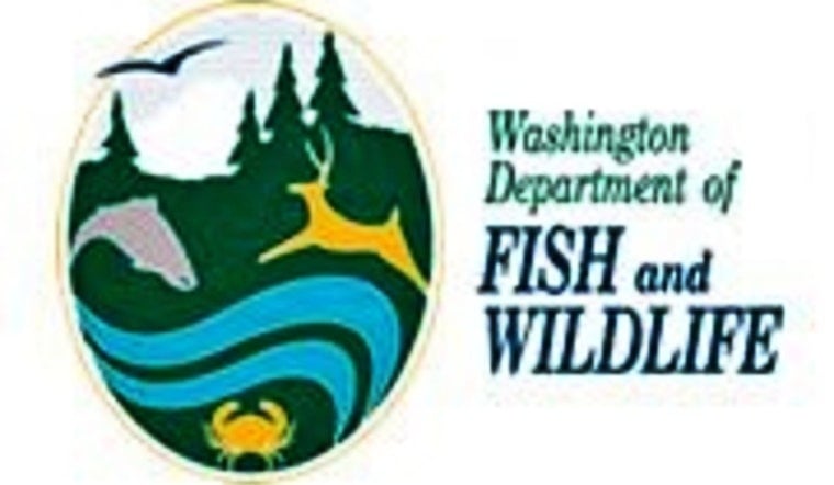 WDFW Employee and Captain Safe After Gillnet Boat Incident in Willapa Bay
