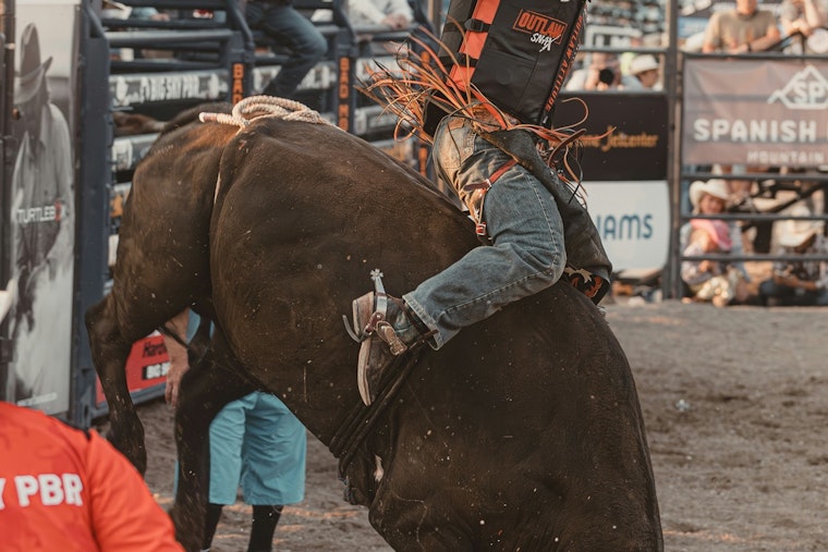 Williamson County Fair & Rodeo Returns with Free Opening Day and Future Expansion Plans
