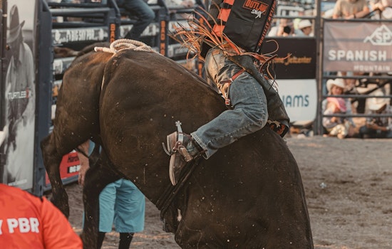 Williamson County Fair & Rodeo Returns with Free Opening Day and Future Expansion Plans