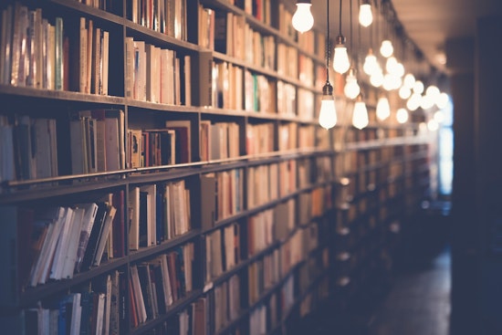 Wilson County Schools Remove Over 400 Books to Comply with State Legislation Amid Controversy