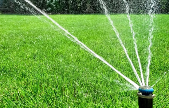 Winter Garden Implements Seasonal Watering Schedule to Conserve Resources as Daylight Saving Ends