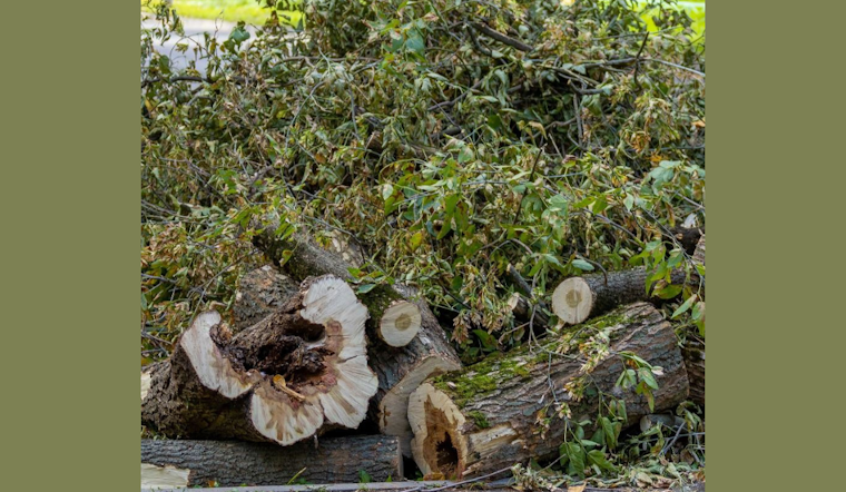 Winter Garden Rallies for Cleanup: City and Residents Unite Post-Hurricane Milton