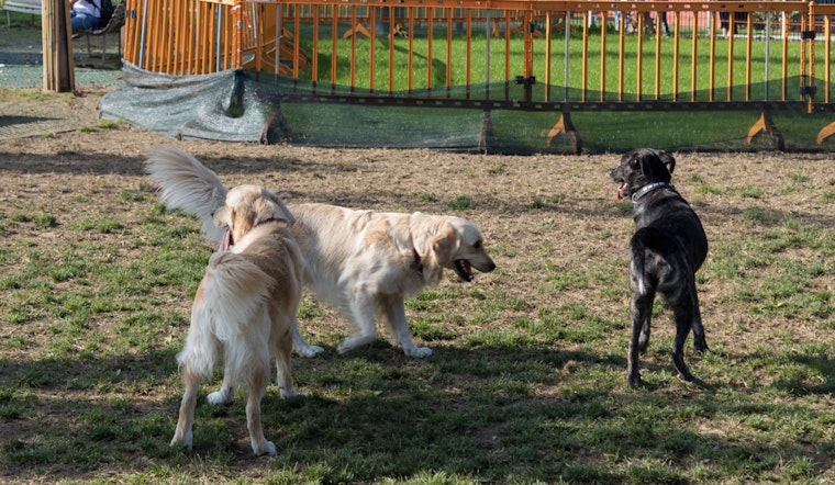 Winter Haven Dog Park at Simmers-Young Closed Due to Hurricane Debris, Other Park Areas Remain Open