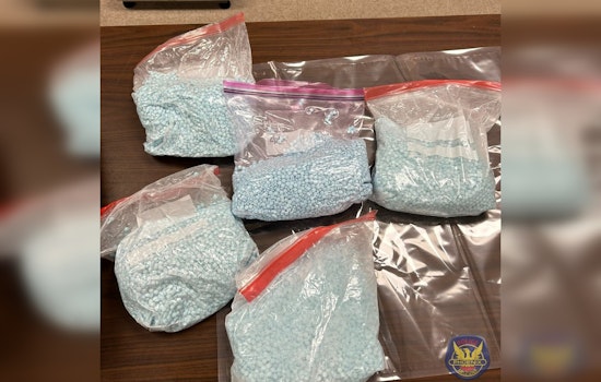 Woman Arrested at Phoenix Airport for Allegedly Smuggling 50,000 Fentanyl Pills