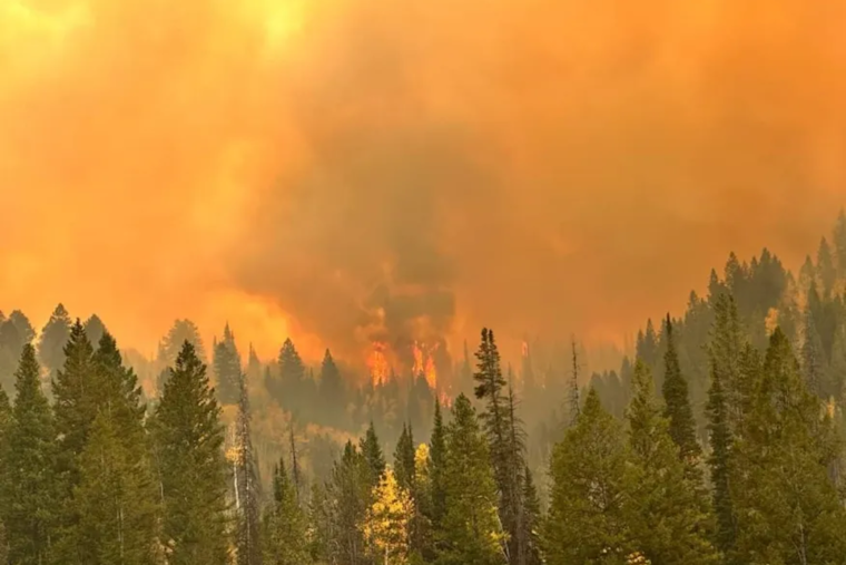 Yellow Lake Fire Escalates to Over 10,800 Acres Amid Red Flag Conditions in Uinta-Wasatch-Cache National Forest