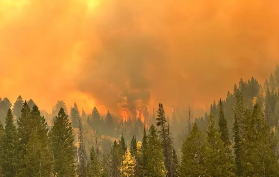 Yellow Lake Fire Escalates to Over 10,800 Acres Amid Red Flag Conditions in Uinta-Wasatch-Cache National Forest