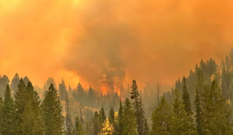 Yellow Lake Fire Escalates to Over 10,800 Acres Amid Red Flag Conditions in Uinta-Wasatch-Cache National Forest
