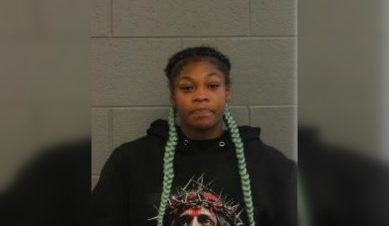 18-Year-Old Charged with Violent Robbery and Aggravated Battery on Chicago's Public Transit