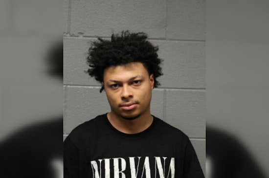 21-Year-Old Man Charged with Robbery on Chicago Train; Faces Felony Count