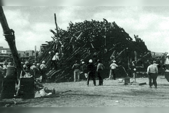 Aggies Reflect on 25th Anniversary of Texas A&M Bonfire Tragedy That Claimed 12 Lives