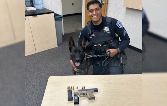 Alameda Police Nab Suspects and Seize Ghost Gun with Aid of K9 Primo