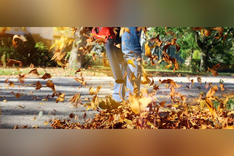Alpharetta City Ordinance Forbids Leaf Disposal in Streets, Urges Proper Yard Waste Management